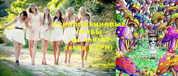 спиды Арсеньев