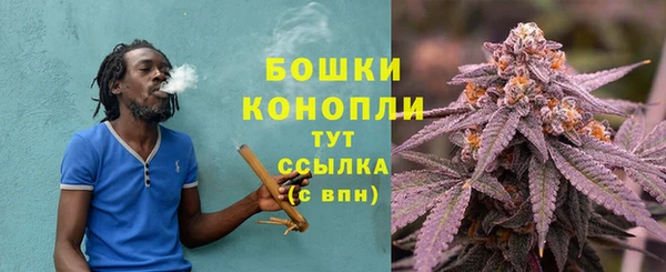 спиды Арсеньев